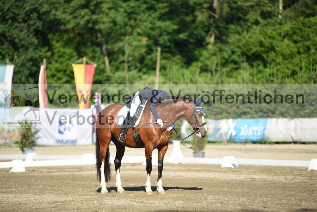 DSC_6870 | equestrian-live-com