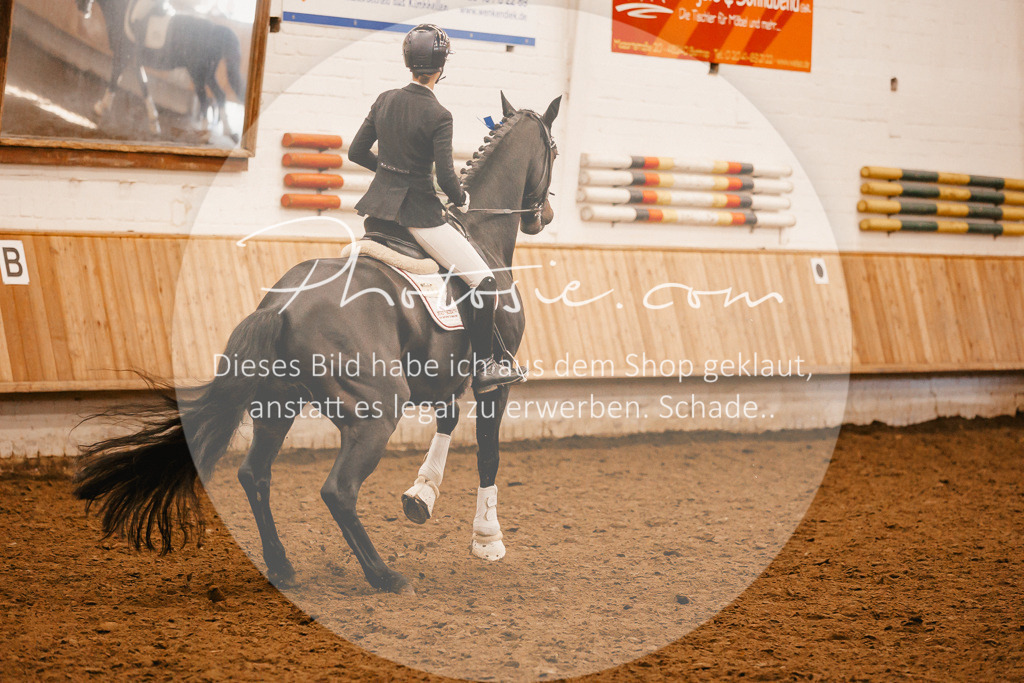 3I6A2150 | Stimmungsvolle Portraits und Reitsportfotografie im Ruhrgebiet und im Münsterland.

Pferdefotografie, Hundefotografie, Tierfotografie, Reportagen, Portraits von Tier und Mensch, Turnierfotografie in Bochum, Recklinghausen, Marl, Haltern am See, Dülmen.. - Realisiert mit Pictrs.com