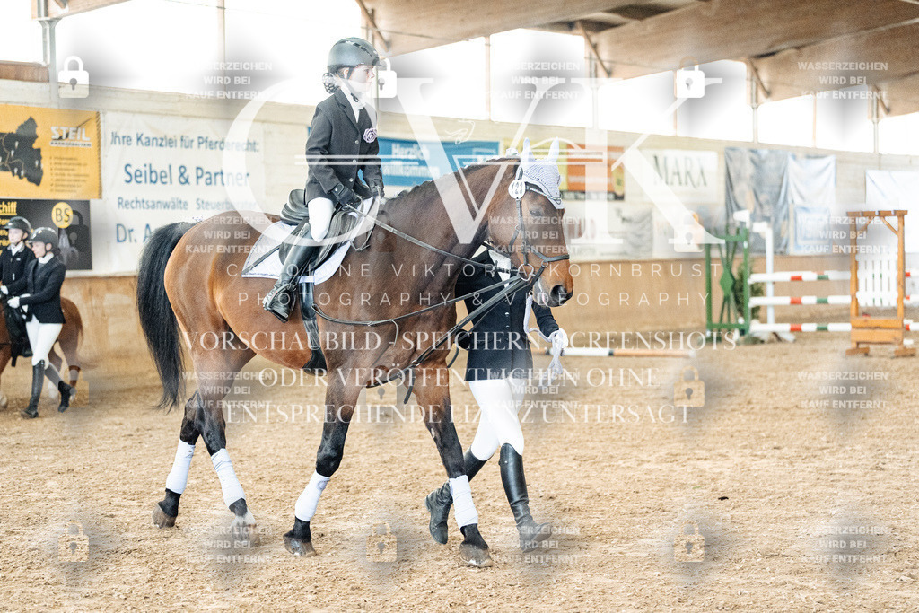 CK905565 | Turnierfotografie Pferdefotografie Trier Rheinland-Pfalz Pferdesport Reitsport Tierfotografie Sportfotografie Pferdevideo Pferdevideografie Equestrianvideography equestrianphotography  - Realized with Pictrs.com