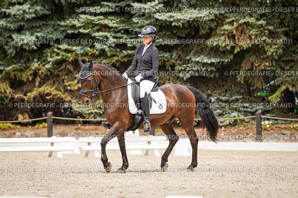 DSC04133 | Pferdegrafie