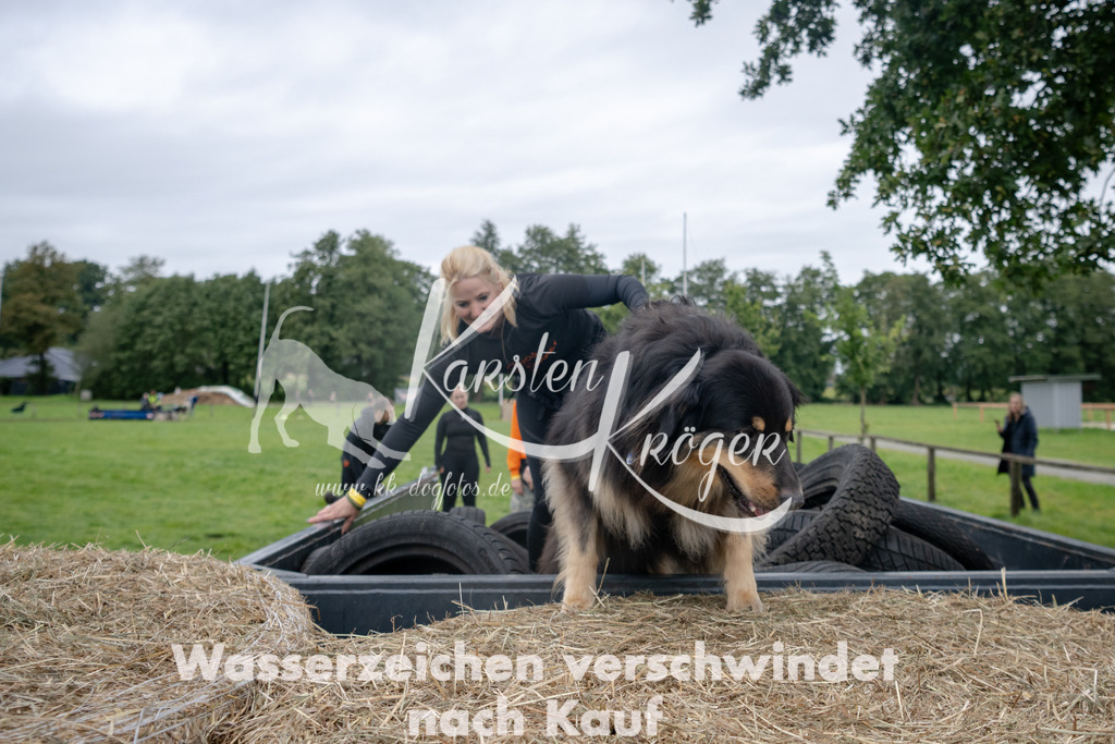1201_ZZ93975 | kk-dogfotos