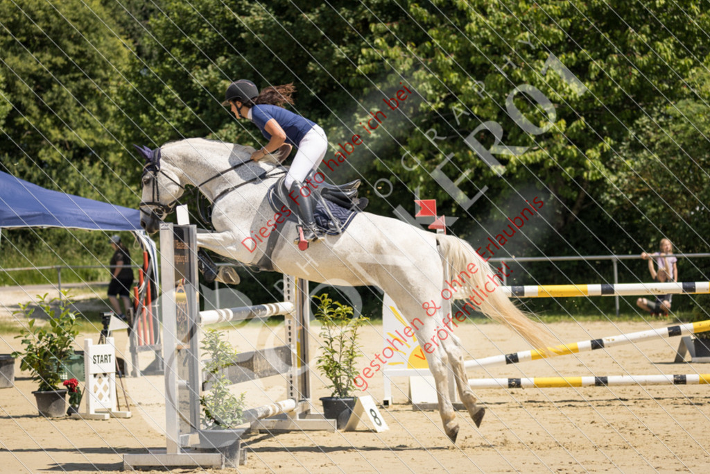 IMG_9198 | Sport-, Event- und Tierfotos in Profiqualität. Einfach auswählen, bestellen und herunterladen. Dein Moment – perfekt festgehalten.