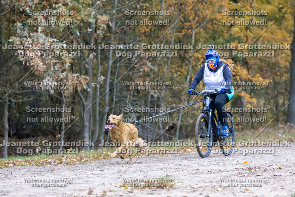 Dog Paparazzi - SD CaniX Championship 2025-269 | Dog Paparazzi Jeanette Grottendiek Fotografie & Videografie - Realisiert mit Pictrs.com