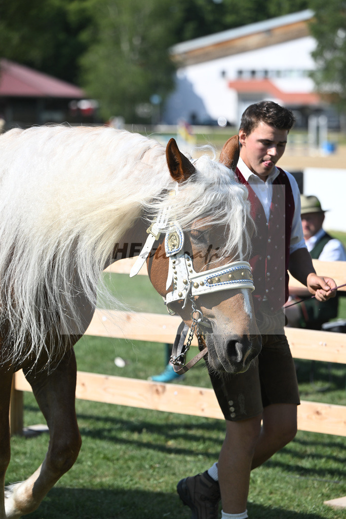 Kat-Nr. 11 Pelipa_Poeschl_20230156 | hf-fotografie - Realisiert mit Pictrs.com