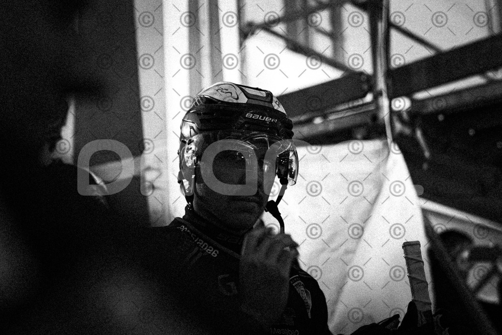 Alligators_vs_Fuessen_26_10_2025-028 | Höchstadt Alligators Fotogalerie: Eishockey-Action aus Franken. Professionelle Spielfotos, Portraits & Stadionbilder zum Download. Jetzt entdecken! - Realisiert mit Pictrs.com