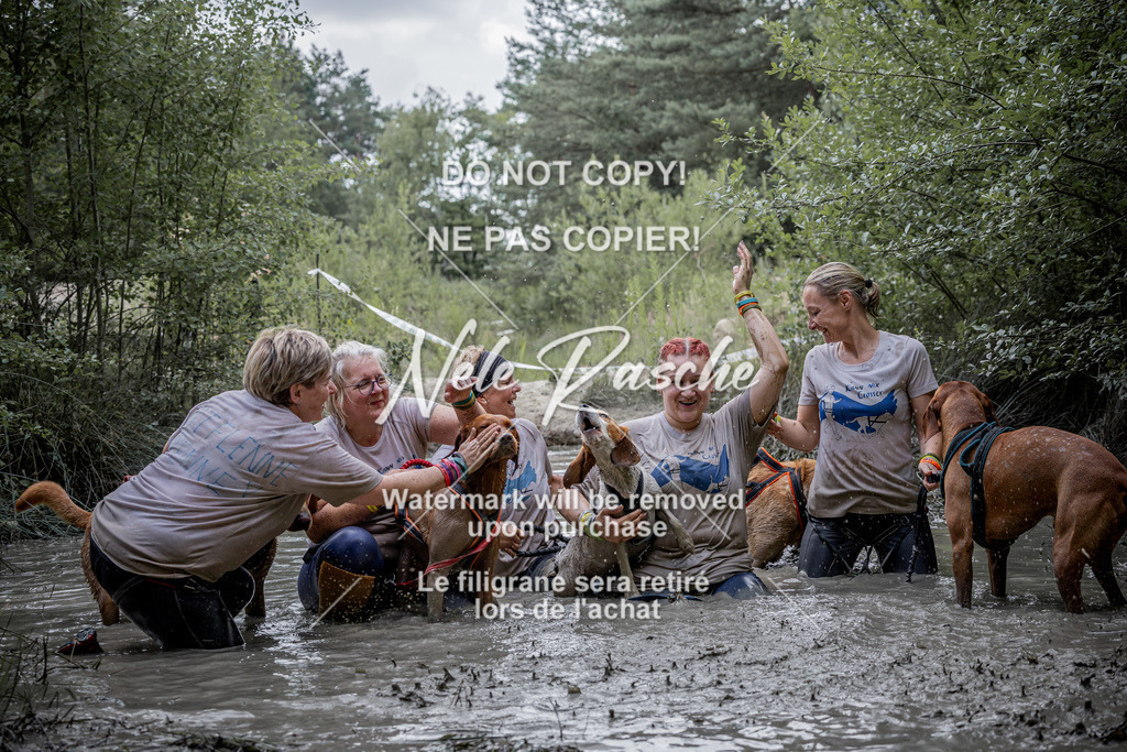 nelerasche_so1145-1230_341 | nelerasche