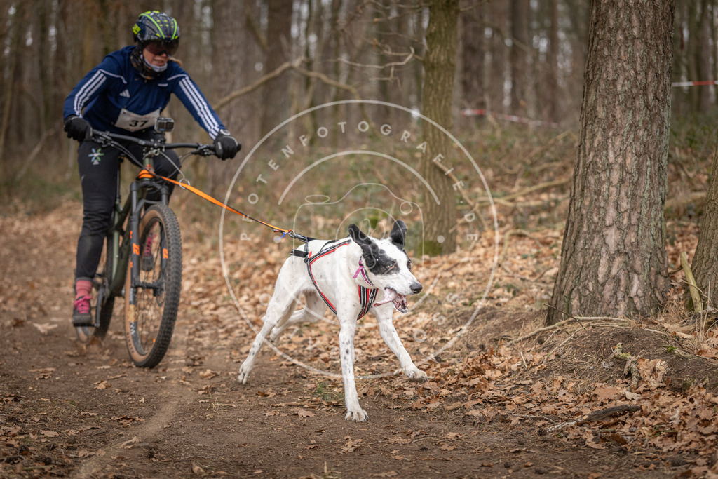 Pfotenfotografie_DV3A0175 | Hundefotografie, Tierfotograf, Pfotenfotografie, Fotoshooting Hund, Hunde Portrait, Hundesport, Hundeportraits, Heideshooting, Hunde, Sportfotograf, Hundefotograf, Turnierhundsport, THS,  - Realisiert mit Pictrs.com