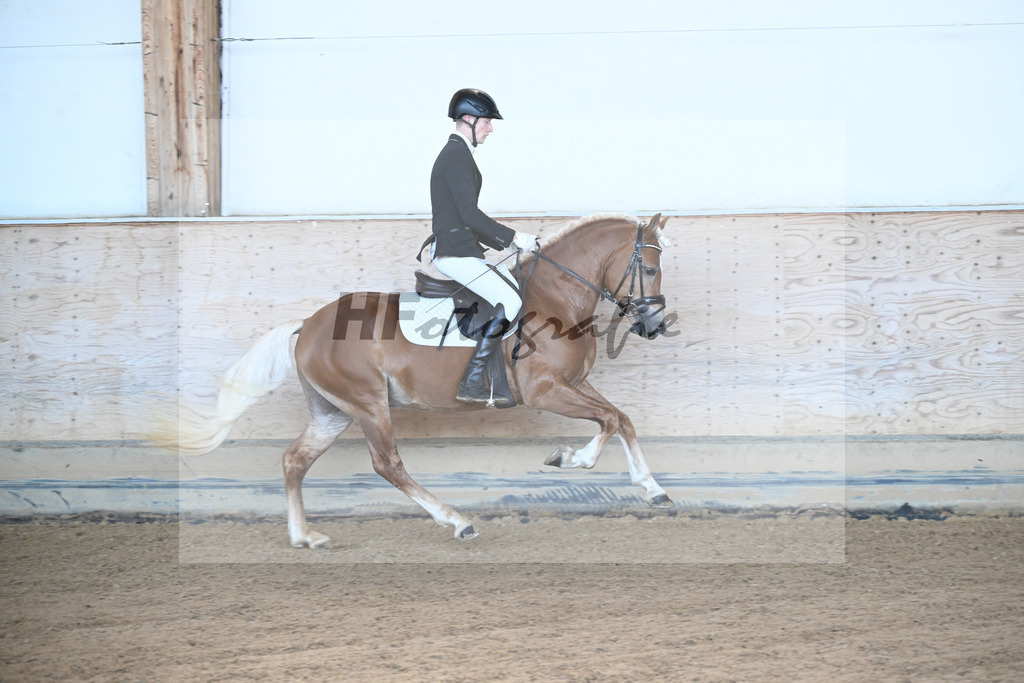 Kat-Nr. 7 Narcotic v. Nakuri_ZG Hackfurt u Weiser_43250491 | hf-fotografie - Realisiert mit Pictrs.com