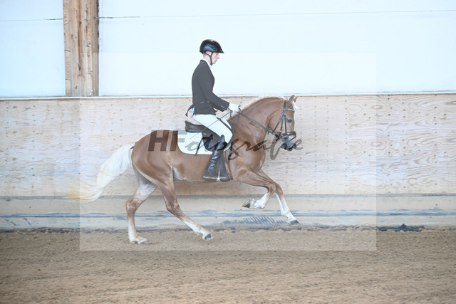 Kat-Nr. 7 Narcotic v. Nakuri_ZG Hackfurt u Weiser_43250491 | hf-fotografie - Realized with Pictrs.com