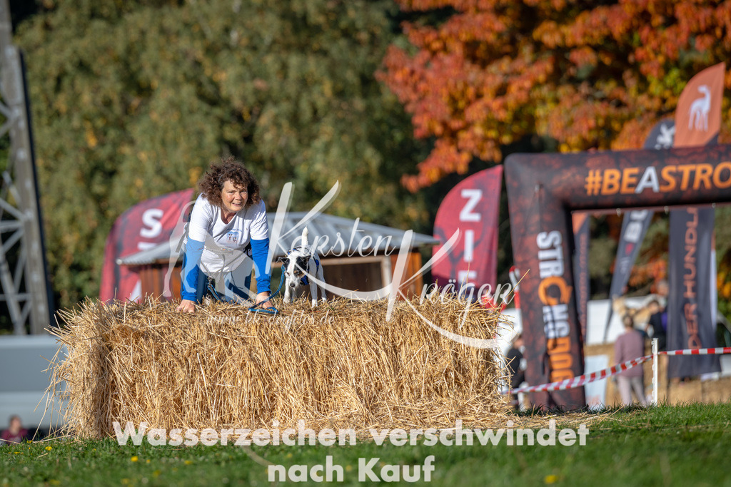 0958_ZZ91655 | kk-dogfotos