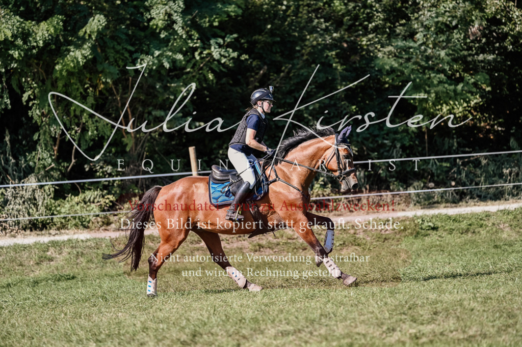 DSC_3371 | Pferde- und Turnierfotografie in Westsachsen. Pferdeportraits, Auftragszeichnungen und intuitive Kunst.