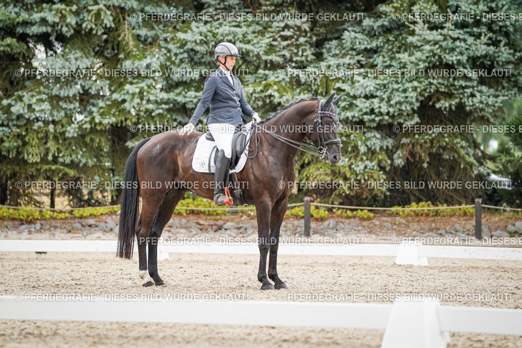 DSC04375 | Pferdegrafie