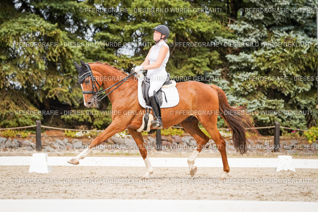 DSC07343 | Pferdegrafie