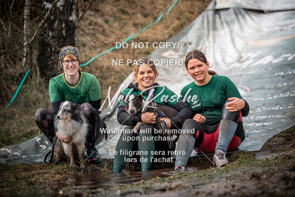 nelerasche_1430-1500_323 | nelerasche