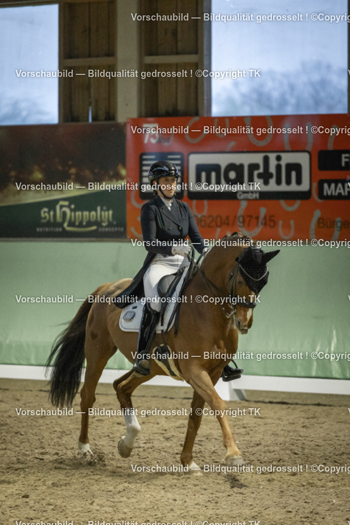 _D5A7275 | Emotionale Pferde- & People-Fotografie rund um Heidelberg, Leimen & Umgebung. Natürliche Fotos von Pferd, Mensch & Familie. Jetzt Termin sichern!