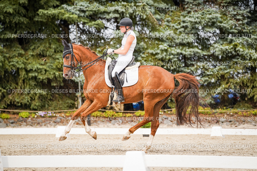 DSC07321 | Pferdegrafie