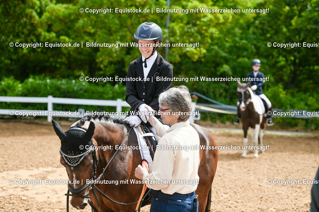 20230716_10-2_Reiter-WB Schritt - Trab - Galopp_0198 | equistock