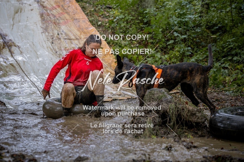 nelerasche_Hunsrück_Sa1430-1500_106-final | nelerasche
