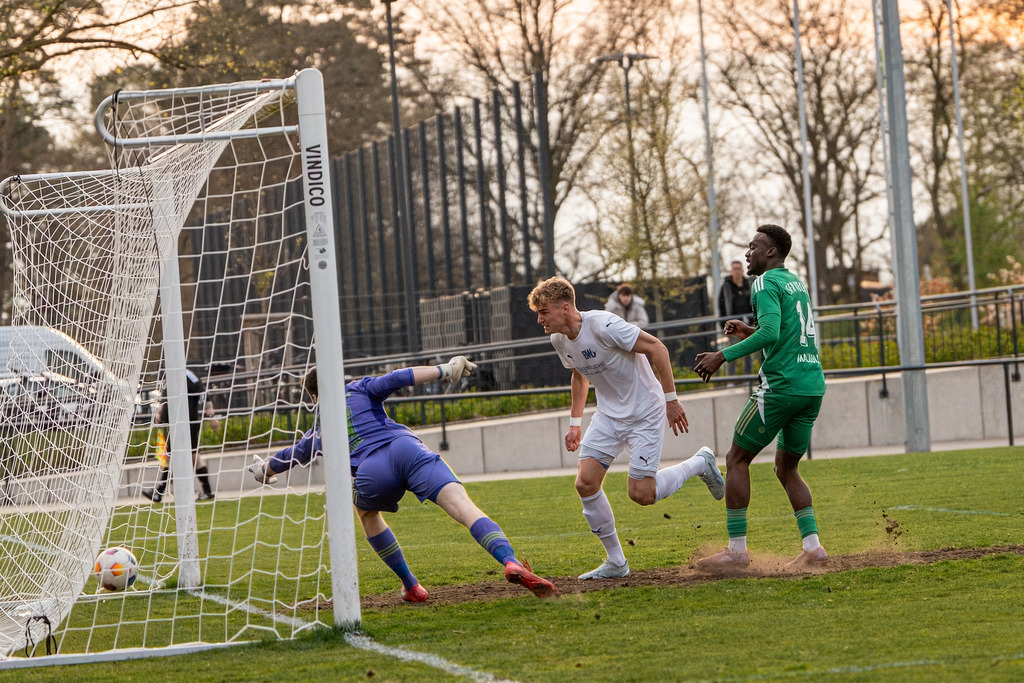 Fußball I Herren I Saison 2025-2026 I Landesliga Weser-Ems I 23. Spieltag I SFN Vechta - BW Lohne II I 01414 | jns.sportfotos - Realisiert mit Pictrs.com