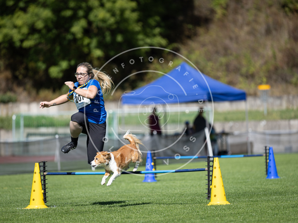 Pfotenfotografie_DV3A5118 | Hundefotografie, Tierfotograf, Pfotenfotografie, Fotoshooting Hund, Hunde Portrait, Hundesport, Hundeportraits, Heideshooting, Hunde, Sportfotograf, Hundefotograf, Turnierhundsport, THS,  - Realisiert mit Pictrs.com