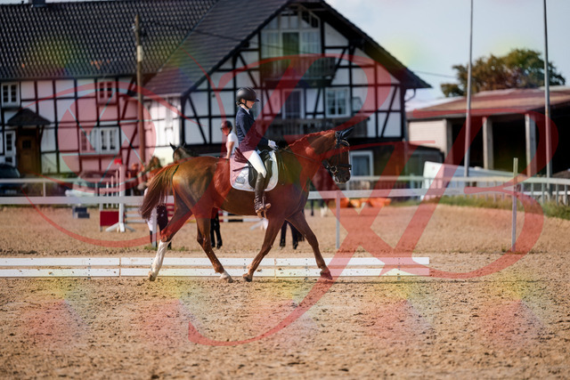 2026_10_03_Siefer-Hof_132902_Z63_90991142 | Professionelle Reitsport-, Turnier- und Eventfotografie von Robert Broda. Galerien mit ausgewählten und bearbeiteten Bildern direkt online ansehen und bestellen.