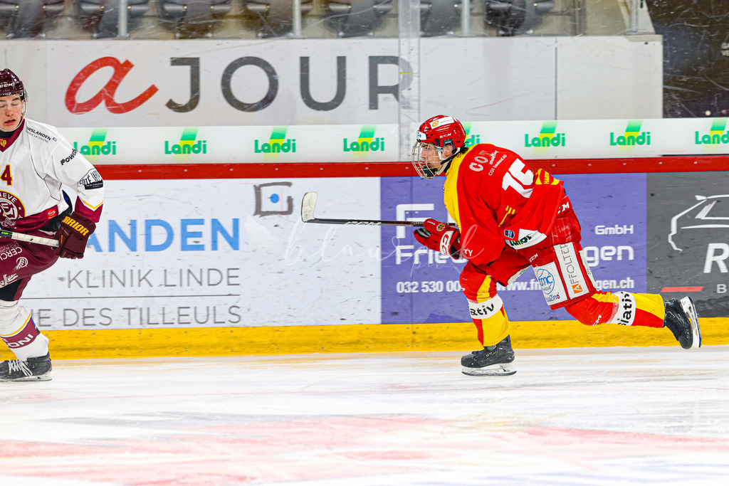 0314_WB_EHCB vs GSHC_9893 | Sportbilder, Sportfotograf, Hochzeits- und Eventfotografin, Flugshows, Portraits und Tiershooting, Aviation, Downhill, Nationalleague, Swissleague, International