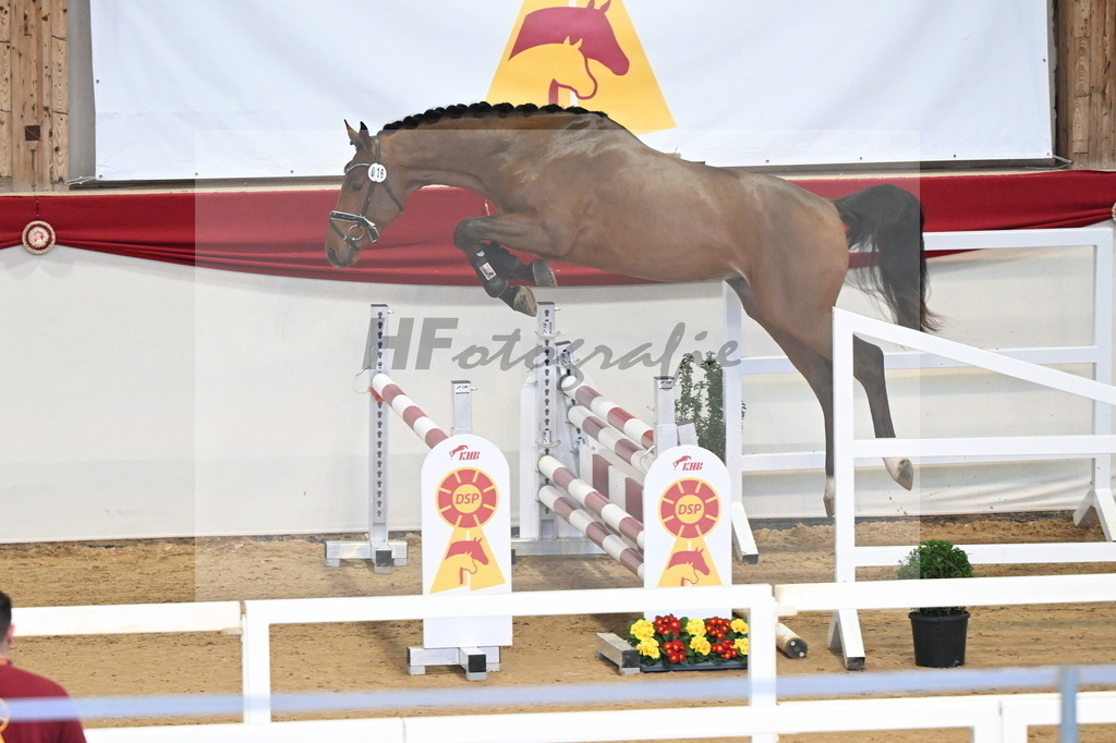 Kat.-Nr. 16 v. Denzel van het Meulenhof_Schulze Averdiek_3261592 | hf-fotografie - Realisiert mit Pictrs.com