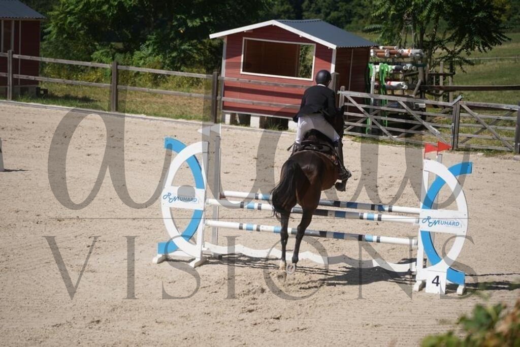 tgbhsonntag (683) | d.tail Visions - Shop - Realisiert mit Pictrs.com