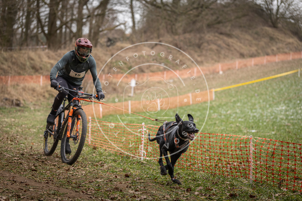 Pfotenfotografie_DV3A6878 | Hundefotografie, Tierfotograf, Pfotenfotografie, Fotoshooting Hund, Hunde Portrait, Hundesport, Hundeportraits, Heideshooting, Hunde, Sportfotograf, Hundefotograf, Turnierhundsport, THS,  - Realisiert mit Pictrs.com