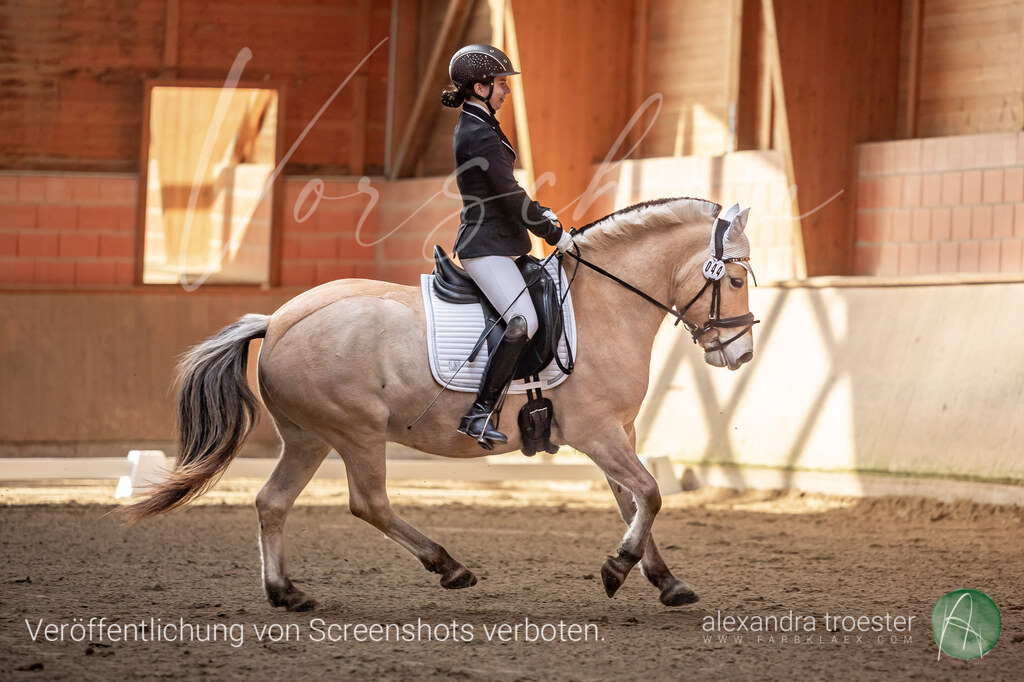 250405_Barop_07_052 | farbklaex.com