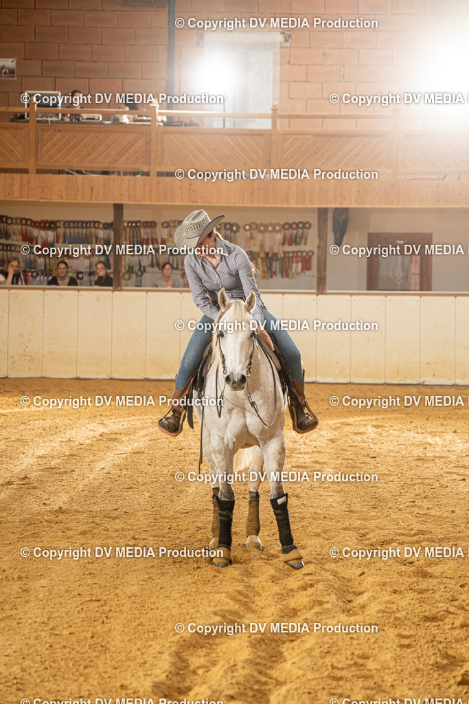 MIT00494 | dv-media-shop - Realisiert mit Pictrs.com