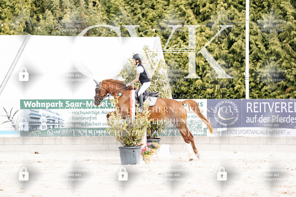 CK906557 | Turnierfotografie Pferdefotografie Trier Rheinland-Pfalz Pferdesport Reitsport Tierfotografie Sportfotografie Pferdevideo Pferdevideografie Equestrianvideography equestrianphotography  - Realisiert mit Pictrs.com