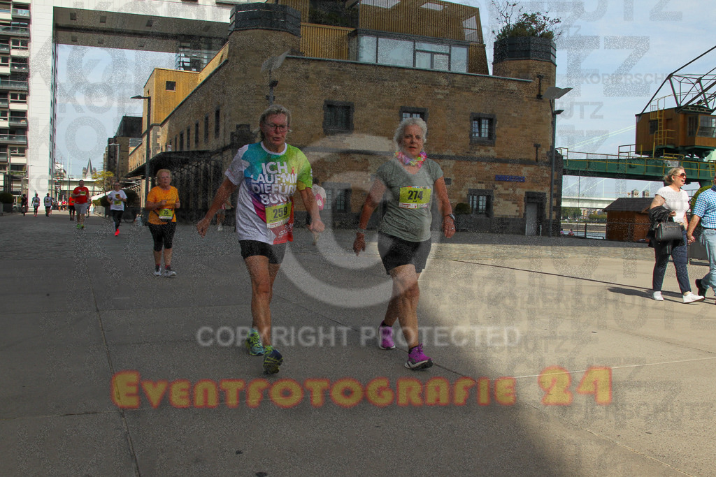 250920_1340_EV4_6390 | Sportfotografie im Rhein-Sieg Kreis, Köln, Bonn, NRW, Rheinland Pfalz, Hessen, etc. Unser Tätigkeitsfeld umfasst den Laufsport vom Volkslauf über den Marathon, Duathlon, Triathon bis zum Ultralauf wie Kölnpfad Ultra oder Schindertrail.