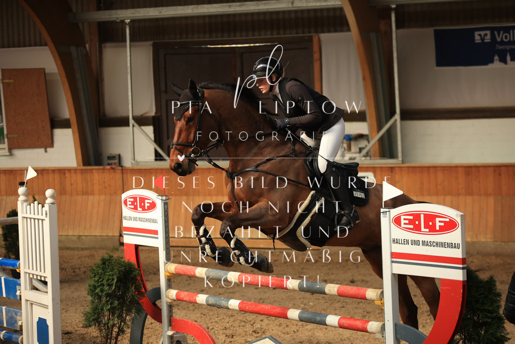 IMGT0400 | pl-fotografie