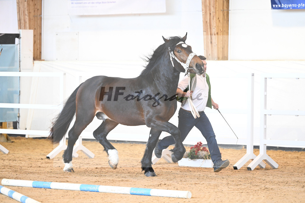 Kat-Nr. 5 v. Rauris_Gierlinger_2230039 | hf-fotografie - Realisiert mit Pictrs.com