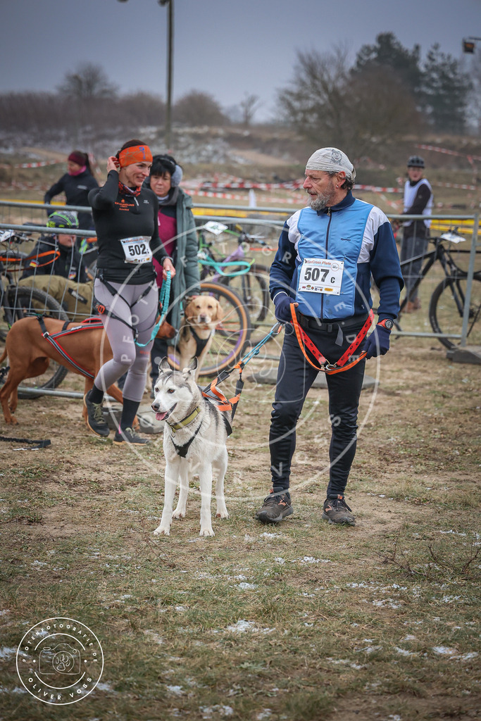 Pfotenfotografie_0L8A2201 | Hundefotografie, Tierfotograf, Pfotenfotografie, Fotoshooting Hund, Hunde Portrait, Hundesport, Hundeportraits, Heideshooting, Hunde, Sportfotograf, Hundefotograf, Turnierhundsport, THS,  - Realisiert mit Pictrs.com