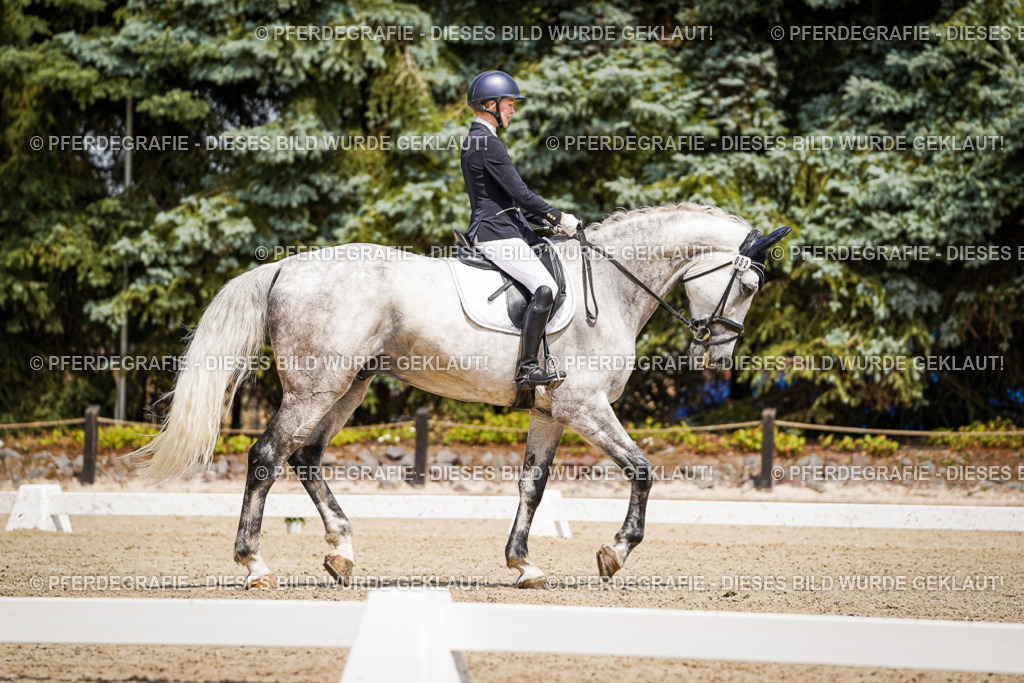 DSC02295 | Pferdegrafie