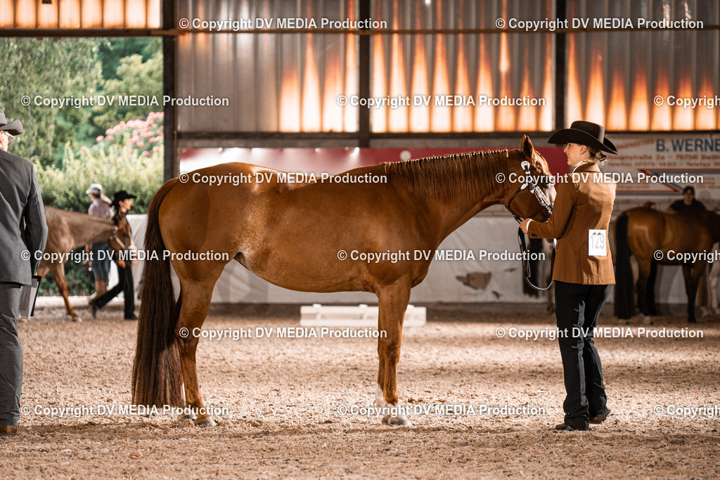 ZH200282 | dv-media-shop - Realisiert mit Pictrs.com