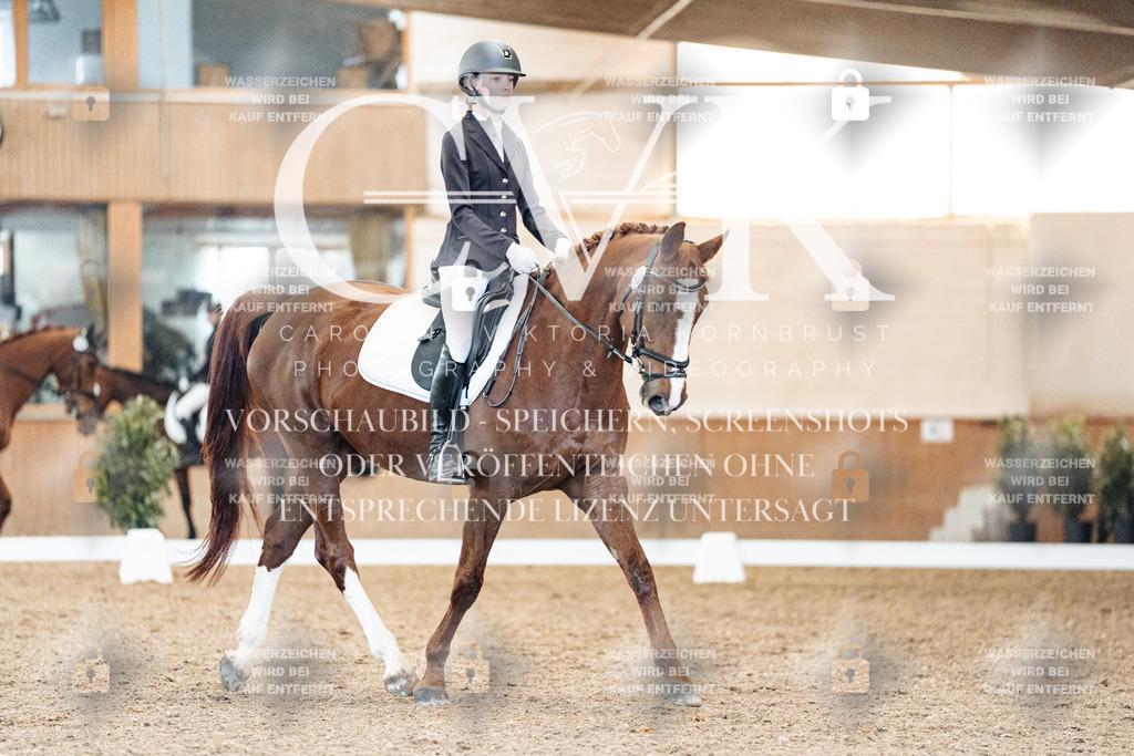 CK908544 | Turnierfotografie Pferdefotografie Trier Rheinland-Pfalz Pferdesport Reitsport Tierfotografie Sportfotografie Pferdevideo Pferdevideografie Equestrianvideography equestrianphotography  - Realisiert mit Pictrs.com