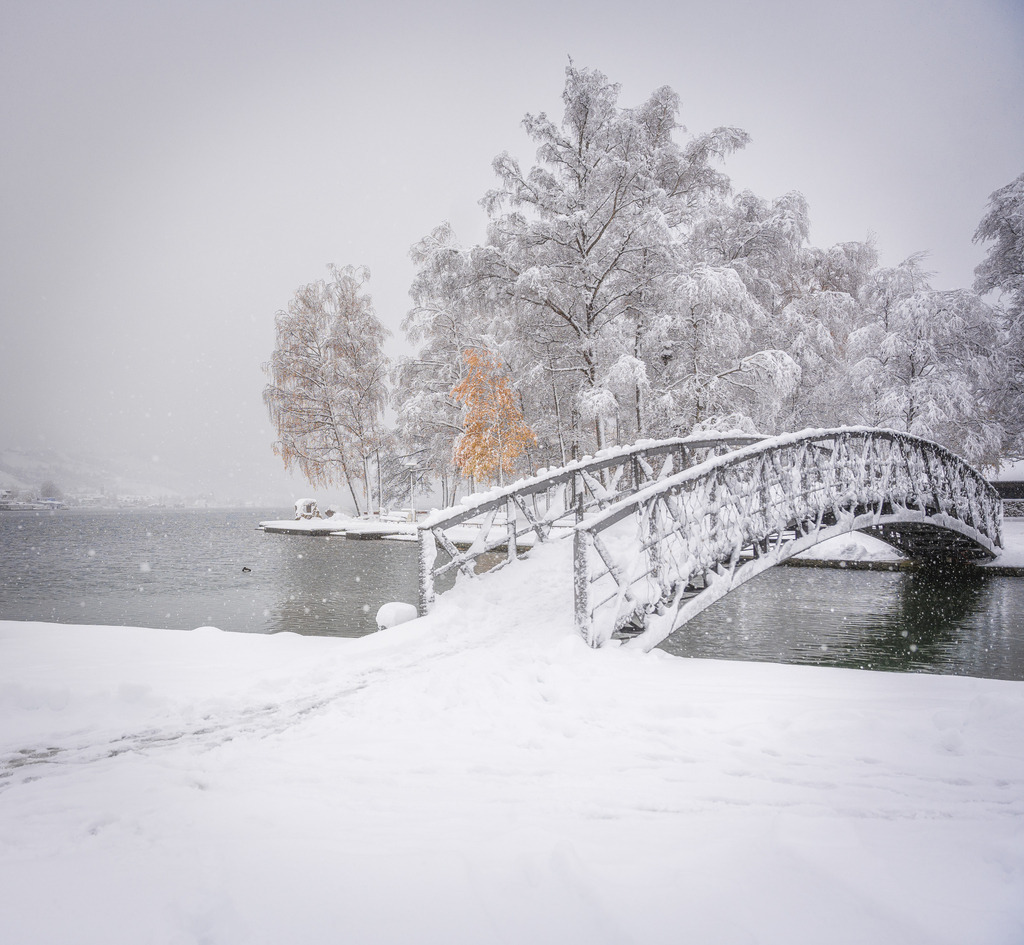 Herbstlaub im Schnee | Brücke zum Birkenwäldli in Unterägeri. Der erste Schnee versucht die goldgelben Blätter der Birken zu verdecken. - Realisiert mit Pictrs.com