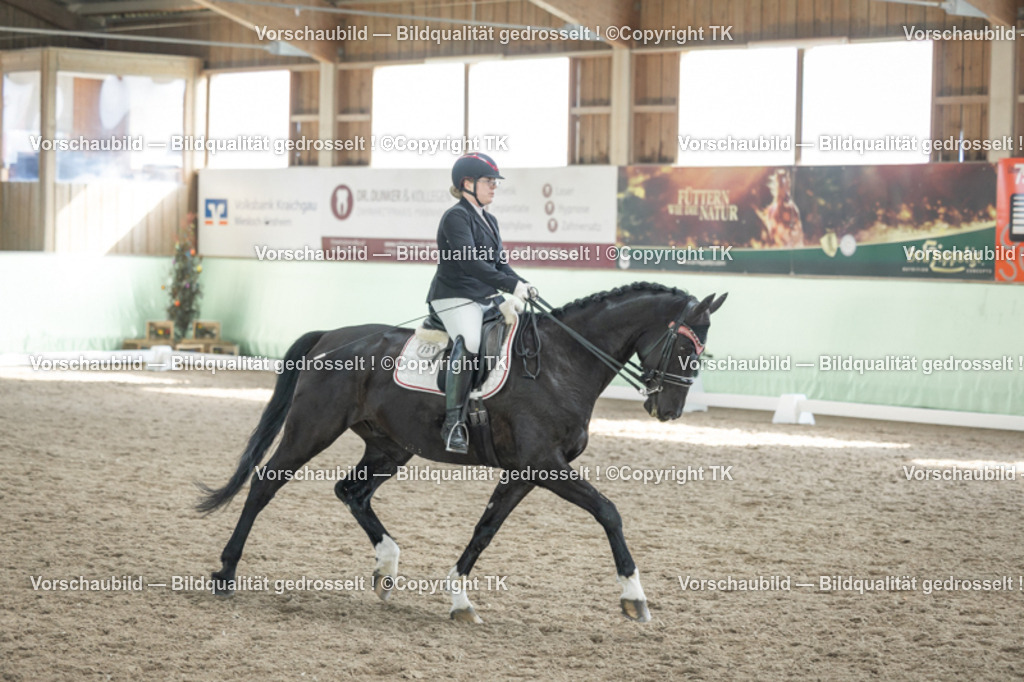 _D5A2724 | Emotionale Pferde- & People-Fotografie rund um Heidelberg, Leimen & Umgebung. Natürliche Fotos von Pferd, Mensch & Familie. Jetzt Termin sichern!