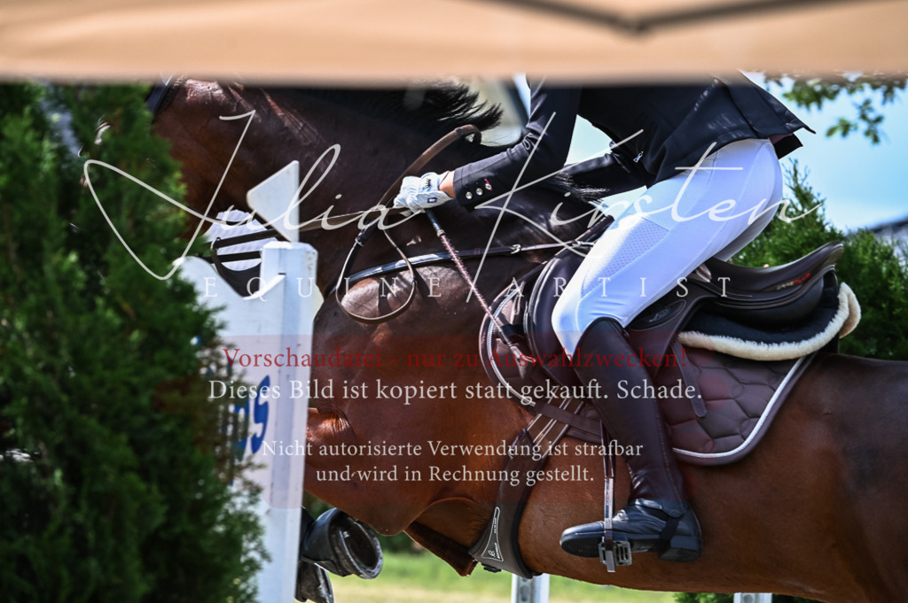 DSC_8503 | Pferde- und Turnierfotografie in Westsachsen. Pferdeportraits, Auftragszeichnungen und intuitive Kunst.