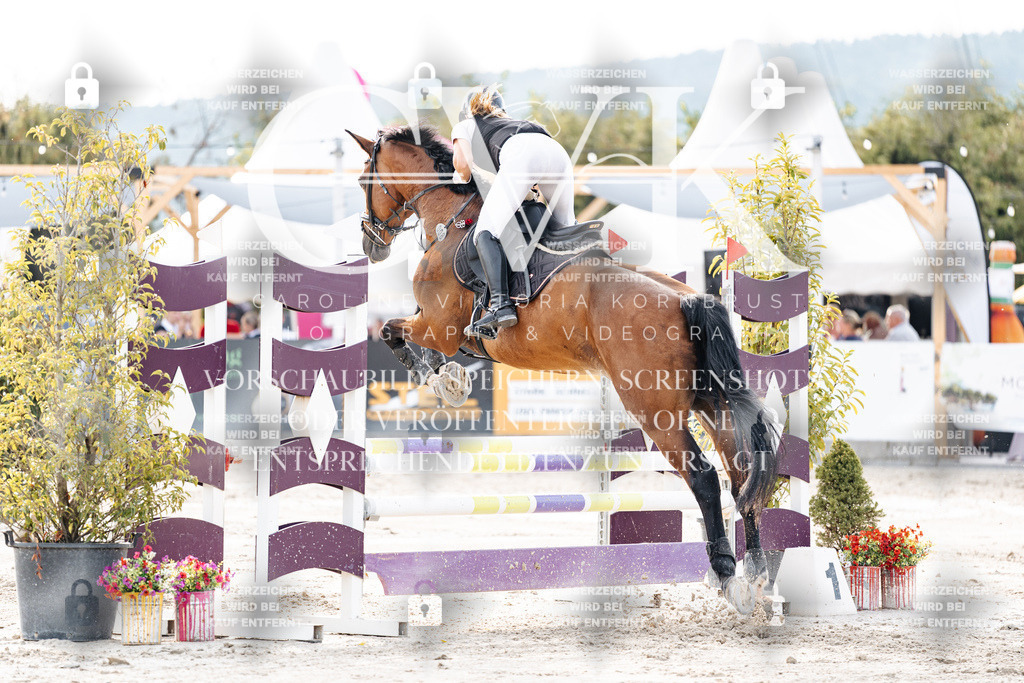 CK906894 | Turnierfotografie Pferdefotografie Trier Rheinland-Pfalz Pferdesport Reitsport Tierfotografie Sportfotografie Pferdevideo Pferdevideografie Equestrianvideography equestrianphotography  - Realisiert mit Pictrs.com