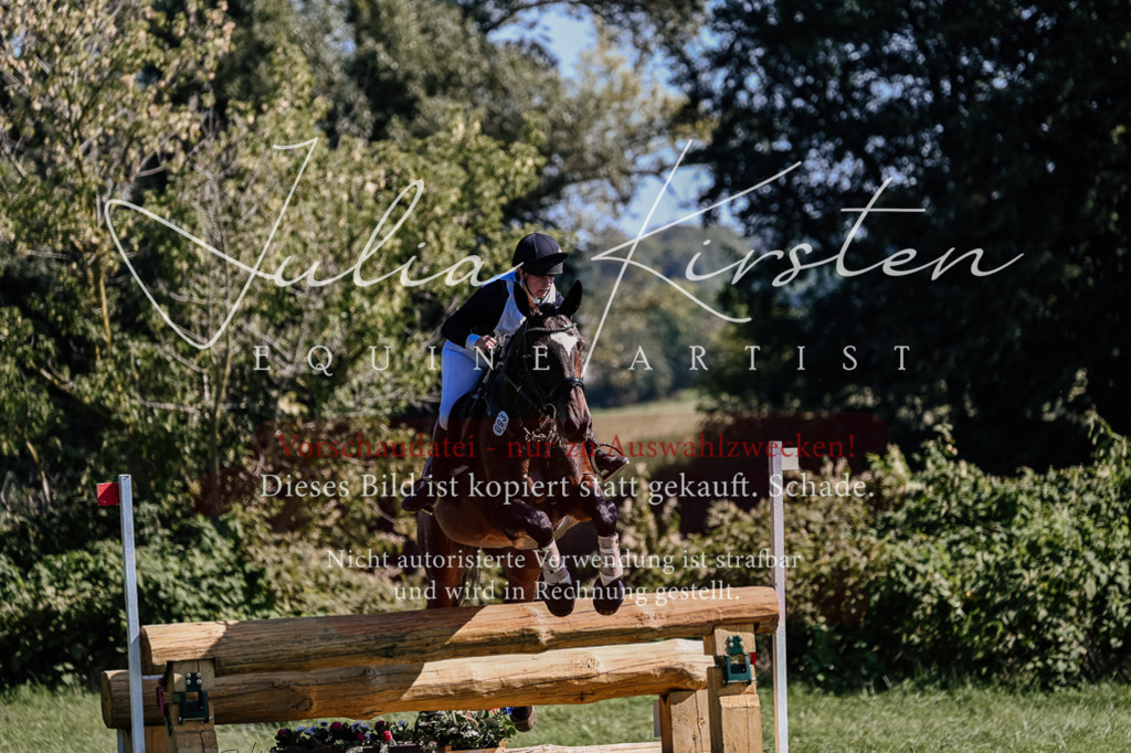 DSC_1867 | Pferde- und Turnierfotografie in Westsachsen. Pferdeportraits, Auftragszeichnungen und intuitive Kunst.