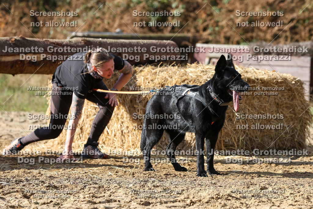 Dog Paparazzi - Strongdog 10-25-4944 | Dog Paparazzi Jeanette Grottendiek Fotografie & Videografie - Realisiert mit Pictrs.com