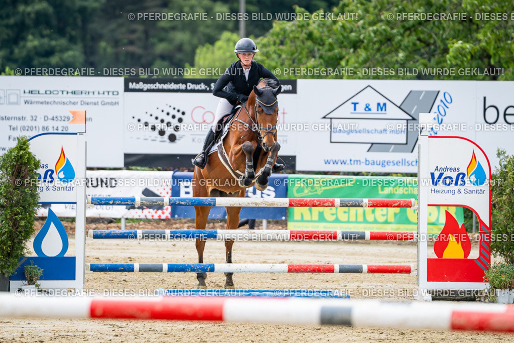 DSC05216 | Pferdegrafie