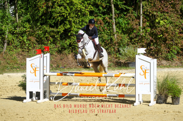 DKP43069 | Turniersportfotografie; Pferdefotografie; Dressurfotografie