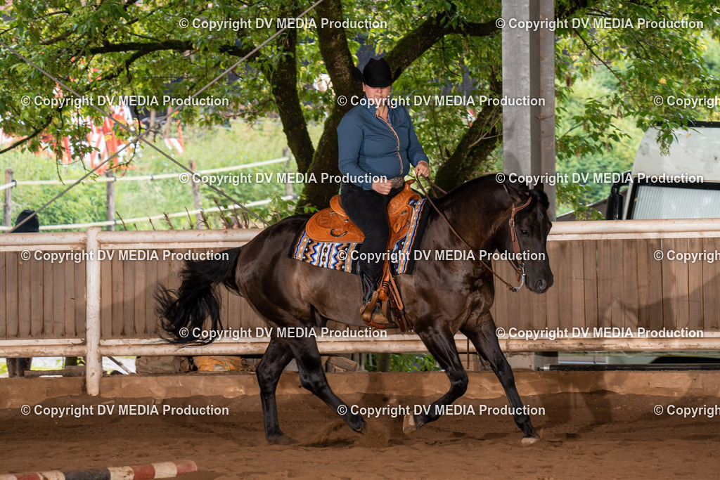 Erbach Tag 3-314 | dv-media-shop - Realisiert mit Pictrs.com