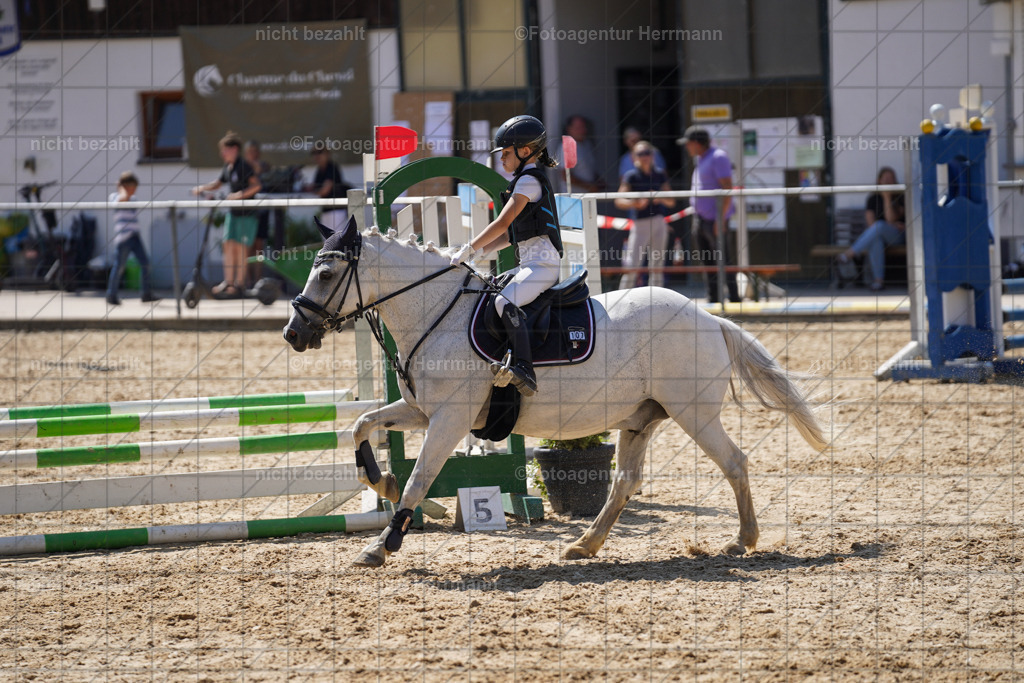 20240824-FAH08074 | Thierhaupten 2024, Bayerisches Landesponyturnier, Turnierbilder, Ponybilder, Turnierfotografen Bayern, Fotoagentur Herrmann
