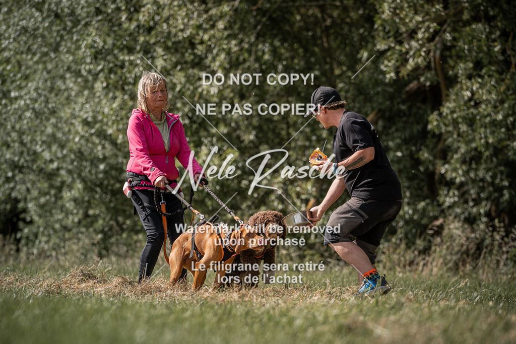 nelerasche_Do-spät_152 | nelerasche